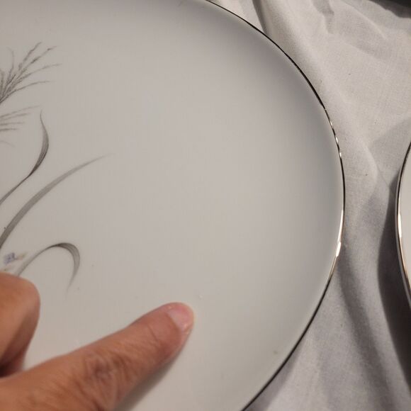 Castlecourt Fine China Japan Wheat Spray Set Of 4 Dinner Plates 10.5" - Picture 5 of 8